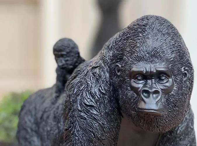 Tous\'o\'Zoo, au cœur du centre-ville
