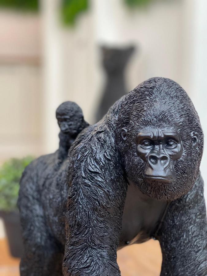 Tous'o'zoo, Au Coeur Du Centre-ville * Saint-Aignan (Loir-et-Cher)