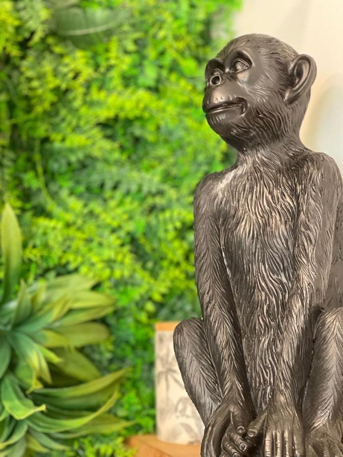 Tous'o'zoo, Au Coeur Du Centre-ville Сasa de vacaciones *